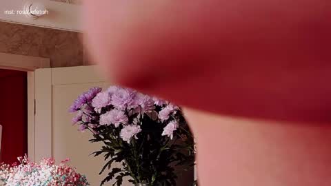 Rosalie online show from 03-31-26, 03:41