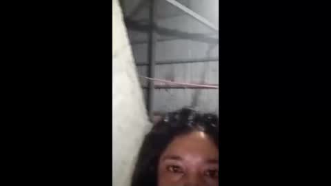 rose_marie2025 online show from 02-05-26, 03:49