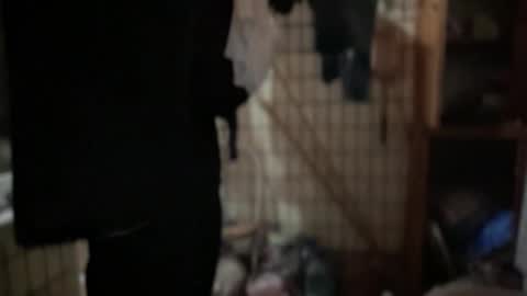 Rose and the Collector online show from 09-20-25, 06:53