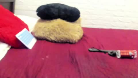 rosebunny_1 online show from 09-13-25, 05:07