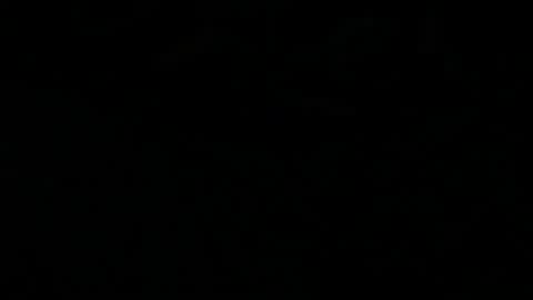 Ocean online show from 11-22-25, 02:54