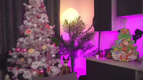 Amii online show from 12-25-24, 11:10