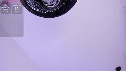 Roxie  online show from 03-16-26, 07:29