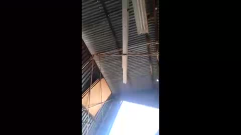 rustynuts95716 online show from 03-10-26, 01:54