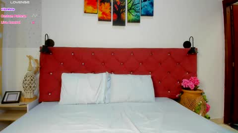 Snapshot of ruth_harvey chatting on 11-15-25, 01:29 Ruth online show from 11-15-25, 01:29