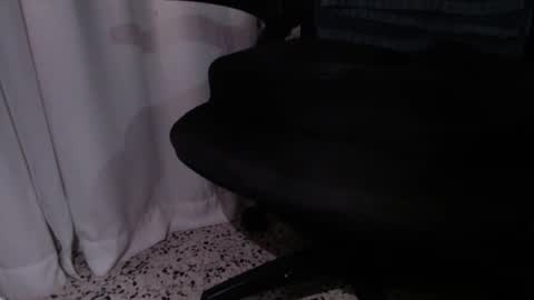 rx7900xtx online show from 12-04-25, 03:27