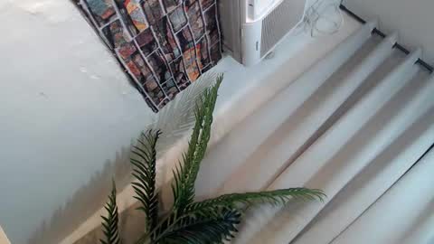 Its me Ryan  online show from 01-26-25, 06:27