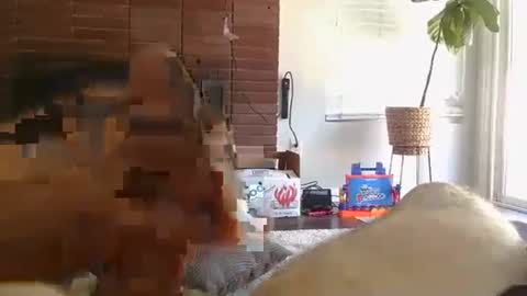 ryanbobby88 online show from 09-13-25, 08:08