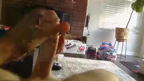 ryanbobby88 online show from 09-25-25, 12:25