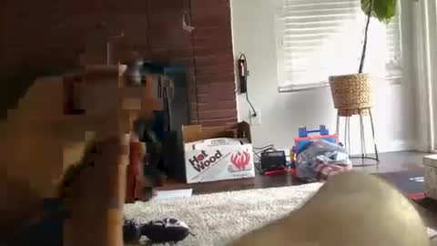 ryanbobby88 online show from 09-27-25, 12:48