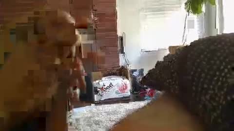 ryanbobby88 online show from 09-28-25, 11:21