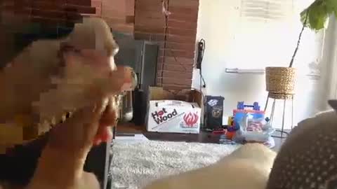 ryanbobby88 online show from 10-01-25, 09:43