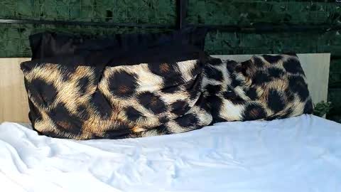 ryanstorm1 online show from 10-24-25, 10:28