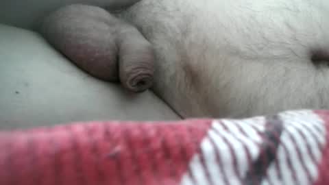 Snapshot of rytas02 chatting on 02-24-26, 08:01 arte online show from 02-24-26, 08:01