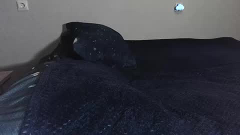 pluto online show from 02-17-25, 10:47