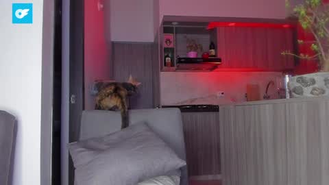 Sag online show from 01-21-25, 01:50