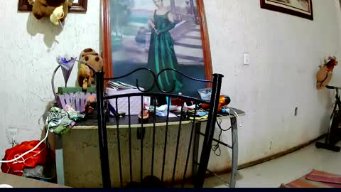 ruby  chocoholic cakeholic coffeeholic cookieholic online show from 10-02-25, 09:11