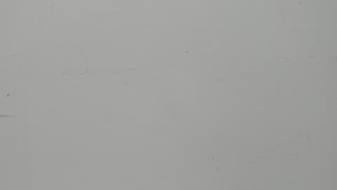 SALVATORE online show from 02-05-25, 11:23