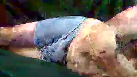 Snapshot of sam5554401727 chatting on 11-10-25, 06:40 sam5554401727 online show from 11-10-25, 06:40