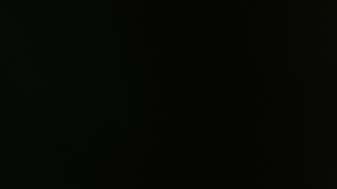 SAM AND BRENDA online show from 12-30-24, 12:20