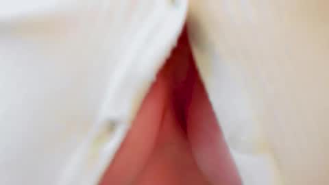 Snapshot of samantha_larusso_ chatting on 10-17-25, 12:30 Andy online show from 10-17-25, 12:30
