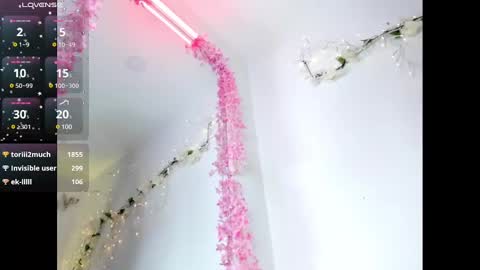 Snapshot of samarhagomez chatting on 01-02-25, 08:17 Samarha Gomez online show from 01-02-25, 08:17