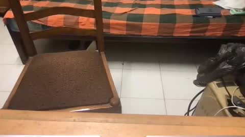 samhotbbc7 online show from 10-19-25, 12:33