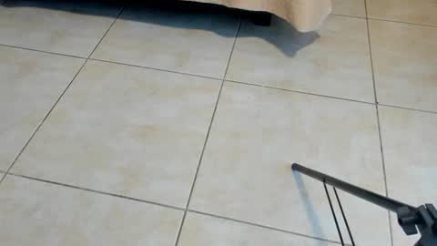 Axel online show from 11-02-25, 12:29