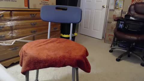 Snapshot of sammyduz2 chatting on 11-03-25, 02:29 Sammy online show from 11-03-25, 02:29