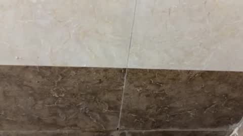 samnivin online show from 11-01-25, 05:04