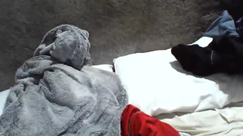 samuel987017 online show from 12-20-24, 06:08