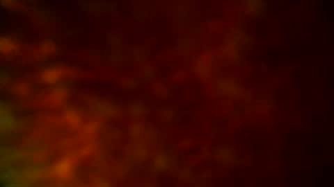 samueltal online show from 09-19-25, 09:48