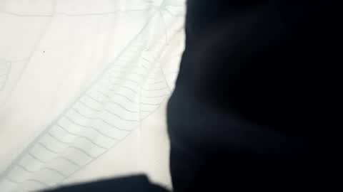 Snapshot of santhoshlees chatting on 02-13-25, 11:06 Harder online show from 02-13-25, 11:06