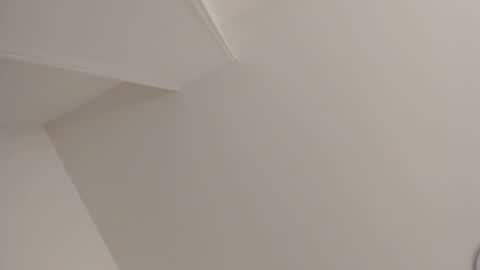   online show from 02-11-25, 11:10