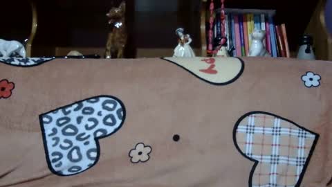 Snapshot of sarraella chatting on 01-21-25, 02:37 Sarra online show from 01-21-25, 02:37