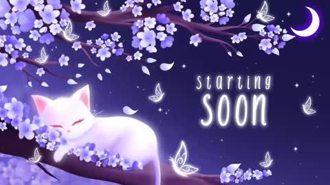 Sassy Sami Kittyn online show from 11-03-25, 06:03