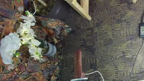 Snapshot of sassylatin45 chatting on 03-02-25, 01:47 sassylatin45 online show from 03-02-25, 01:47