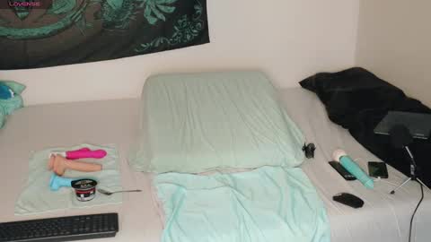 Snapshot of savethebea chatting on 12-29-24, 04:30 Bea online show from 12-29-24, 04:30