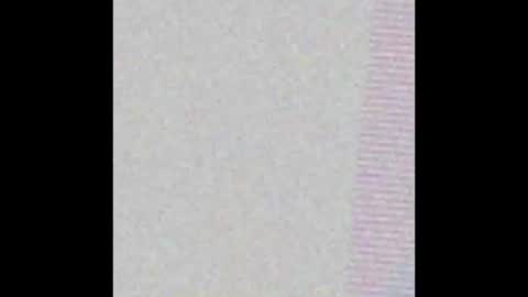 petperson04 online show from 03-20-26, 11:26