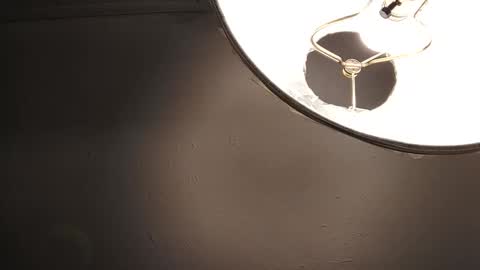 sayhi2mylilguy online show from 02-07-25, 10:50