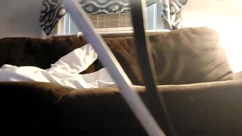 sayhi2mylilguy online show from 02-27-25, 07:15