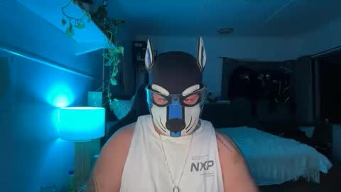 Snapshot of sc212 chatting on 02-22-26, 12:15 Sunny Coast online show from 02-22-26, 12:15