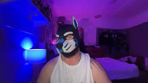 Snapshot of sc212 chatting on 03-15-26, 02:45 Sunny Coast online show from 03-15-26, 02:45