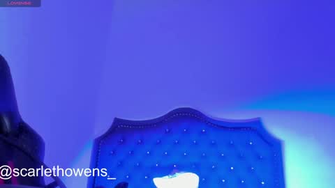 Snapshot of scarleth_owens1 chatting on 12-29-24, 09:50    online show from 12-29-24, 09:50
