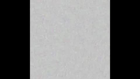 Scolw  online show from 12-17-25, 12:00