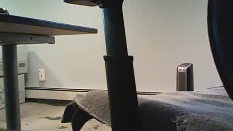 scottie813 online show from 12-12-24, 08:32