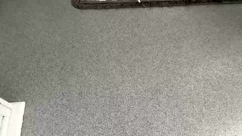 scottyc48 online show from 11-08-25, 10:04