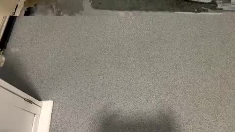 scottyc48 online show from 01-06-26, 01:48