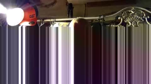 scoutiii online show from 10-15-25, 11:43