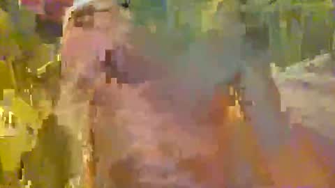 scoutiii online show from 11-21-25, 06:01